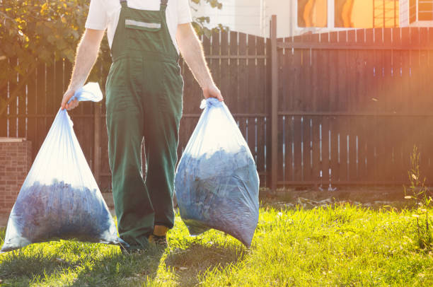 Yard Cleanup Services in Mogadore, OH